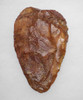 EXTRAORDINARY INVESTMENT GRADE BURNT RED-ORANGE STONE HOMO ERGASTER ACHEULEAN HAND AXE FROM PREHISTORIC AFRICA  *ACH491