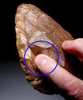 EXTRAORDINARY INVESTMENT GRADE BURNT RED-ORANGE STONE HOMO ERGASTER ACHEULEAN HAND AXE FROM PREHISTORIC AFRICA  *ACH491