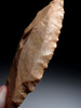 RARE SUPERB LARGE TENERIAN NEOLITHIC DENTICULATE SAW BLADE FLAKE STONE TOOL FROM THE SAHARAN TENERE DESERT  *CAP447
