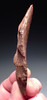 RARE SUPERB RED TENERIAN NEOLITHIC DENTICULATE SAW BLADE FLAKE STONE TOOL FROM THE SAHARAN TENERE DESERT  *CAP451