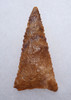 RARE TENERIAN NEOLITHIC GOLDEN QUARTZITE SERRATED DELTA ARROWHEAD FROM THE SAHARAN TENERE DESERT  *CAP448