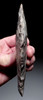 UNUSUAL LARGE PRESTIGE CAPSIAN NEOLITHIC FLAKED PLUM FLINT LEAF BLADE FROM THE SAHARA  *CAP457