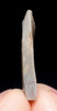 RARE BRITISH TARDENOISIAN CULTURE FLINT MICROLITH BLADE FLAKE TOOL FROM MESOLITHIC - EPIPALEOLITHIC ENGLAND  *N347