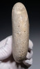 LARGE 8000 TO 4000 YEAR OLD NEOLITHIC STONE FISHING NET WEIGHT SINKER FROM FRANCE  *N351