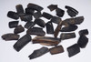 WHOLESALE COLLECTION OF 33 PARTIAL GIANT BEAVER TUSK FOSSILS  *LMX292