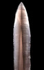 UNBROKEN AZTEC PRE-COLUMBIAN OBSIDIAN PRISMATIC BLADE FOR RITUAL BLOOD-LETTING SACRIFICE  *PC659