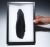 MASSIVE PRE-COLUMBIAN AZTEC BANDED OBSIDIAN HUMAN SACRIFICE DISMEMBERMENT BUTCHERING BLADE  *PC661