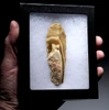 STUNNING LARGE AESTHETIC BALKAN EARLY NEOLITHIC BANDED GOLD FLINT SCRAPER BLADE FLAKE TOOL FROM THE FIRST FARMING SOCIETY  *N362