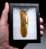 EXCEPTIONAL NEANDERTHAL MOUSTERIAN FLINT NATURALLY BACKED KNIFE FLAKE TOOL FROM FAMOUS MIDDLE PALEOLITHIC SITE IN FRANCE  *M537