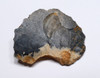 NEANDERTHAL MOUSTERIAN FLINT RABOT PLANER FLAKE TOOL FROM FAMOUS MIDDLE PALEOLITHIC SITE IN FRANCE  *M545