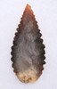 FINEST INVESTMENT GRADE CAPSIAN AFRICAN NEOLITHIC SERRATED ARROWHEAD WITH UNIQUE COLORS  *CAP483