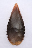 FINEST INVESTMENT GRADE CAPSIAN AFRICAN NEOLITHIC SERRATED ARROWHEAD WITH UNIQUE COLORS  *CAP483