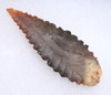 FINEST INVESTMENT GRADE CAPSIAN AFRICAN NEOLITHIC SERRATED ARROWHEAD WITH UNIQUE COLORS  *CAP483