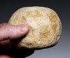 IMMEASURABLY RARE LARGE NEANDERTHAL MOUSTERIAN SPHEROID BOLA STONE FROM FRANCE - ONLY SPECIMEN WE HAVE SEEN IN 40 YEARS  *M546