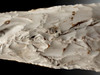 EXCEPTIONAL FLAKED FLINT SCANDINAVIAN DANISH NEOLITHIC AXE  FROM THE FUNNEL BEAKER CULTURE OF DENMARK  *N283