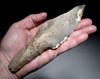 SUPERB MAYAN PRE-COLUMBIAN CHERT DAGGER STEMMED MACRO BLADE KNIFE  *PC671