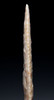 LARGE FINEST INVESTMENT GRADE CAPSIAN AFRICAN NEOLITHIC SERRATED ARROWHEAD IN WARM PEARL FLINT  *CAP485