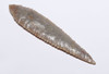 LARGE FINEST INVESTMENT GRADE CAPSIAN AFRICAN NEOLITHIC SERRATED ARROWHEAD IN WARM PEARL FLINT  *CAP485