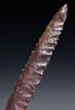 LARGE FINEST INVESTMENT GRADE CAPSIAN AFRICAN NEOLITHIC SERRATED ARROWHEAD FOR DEEP PENETRATION  *CAP486