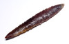 LARGE FINEST INVESTMENT GRADE CAPSIAN AFRICAN NEOLITHIC SERRATED ARROWHEAD FOR DEEP PENETRATION  *CAP486