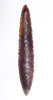 LARGE FINEST INVESTMENT GRADE CAPSIAN AFRICAN NEOLITHIC SERRATED ARROWHEAD FOR DEEP PENETRATION  *CAP486