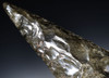 GIANT SPECTACULAR ROYAL CEREMONIAL MAYAN PRE-COLUMBIAN GREEN SHEEN OBSIDIAN BARBED SPEARHEAD  *PC667