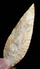 LARGE COLLECTOR GRADE POINTED TANG CAPSIAN AFRICAN NEOLITHIC ARROWHEAD  *CAP488