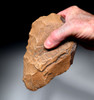  INVESTMENT-CLASS BI-COLORED ACHEULEAN HAND AXE MADE BY HOMO ERGASTER OF STONE AGE AFRICA  *ACH492