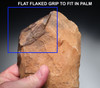  INVESTMENT-CLASS BI-COLORED ACHEULEAN HAND AXE MADE BY HOMO ERGASTER OF STONE AGE AFRICA  *ACH492