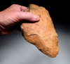  INVESTMENT-CLASS BI-COLORED ACHEULEAN HAND AXE MADE BY HOMO ERGASTER OF STONE AGE AFRICA  *ACH492