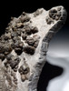 MUSEUM-CLASS FOSSIL PREHISTORIC BACTERIA LAYER OF TRANSITIONAL CARBONIFEROUS - PERMIAN LACUSTRINE STROMATOLITES  *STRX006
