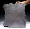 MUSEUM-CLASS FOSSIL PREHISTORIC BACTERIA LAYER OF TRANSITIONAL CARBONIFEROUS - PERMIAN LACUSTRINE STROMATOLITES  *STRX006