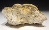 OLIGOCENE FOSSIL STROMATOLITE CYANOBACTERIA BALL COLONIES FROM AN ANCIENT LAKE  *STR584