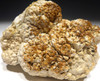 OLIGOCENE FOSSIL STROMATOLITE CYANOBACTERIA BALL COLONIES FROM AN ANCIENT LAKE  *STR584