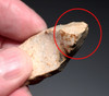 NEANDERTHAL MOUSTERIAN BURIN GRAVER FLINT FLAKE TOOL FROM THE FRENCH ALPS OF LA FAURIE FRANCE  *M558