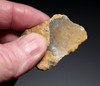 PREMIUM NEANDERTHAL MOUSTERIAN NATURALLY BACKED KNIFE FLINT FLAKE TOOL FROM THE FRENCH ALPS OF LA FAURIE FRANCE  *M549