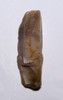 NEANDERTHAL MOUSTERIAN BACKED KNIFE FLINT FLAKE TOOL FROM THE FRENCH ALPS OF LA FAURIE FRANCE  *M553
