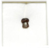 CRETACEOUS BRACHYCHAMPSA ALLIGATORINE TOOTH FROM HELL CREEK  *MV10-130