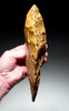 UNUSUALLY LARGE GOLDEN INVESTMENT-CLASS AMYGDALOID ACHEULEAN HAND AXE MADE BY HOMO ERGASTER FROM STONE AGE AFRICA  *ACH475