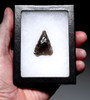 NAZCA HEADHUNTER PRE-COLUMBIAN OBSIDIAN ATLATL ARROWHEAD DART FROM THE MAKERS OF THE MYSTERIOUS NAZCA LINES  *PC699