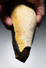 FINEST MAXIMUM SIZE INVESTMENT-CLASS OLDOWAN FLINT PEBBLE AXE FROM WIMEREUX LOWER PALEOLITHIC FRANCE  *PB230