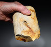 FINEST MAXIMUM SIZE INVESTMENT-CLASS OLDOWAN FLINT PEBBLE AXE FROM WIMEREUX LOWER PALEOLITHIC FRANCE  *PB230