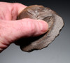 RARE HOMO ERGASTER (ERECTUS) PREHISTORIC ACHEULEAN END SCRAPER FLAKE TOOL FROM LOWER PALEOLITHIC  STONE AGE AFRICA  *ACH497