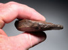RARE HOMO ERGASTER (ERECTUS) PREHISTORIC ACHEULEAN END SCRAPER FLAKE TOOL FROM LOWER PALEOLITHIC  STONE AGE AFRICA  *ACH497