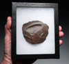 RARE HOMO ERGASTER (ERECTUS) PREHISTORIC ACHEULEAN END SCRAPER FLAKE TOOL FROM LOWER PALEOLITHIC  STONE AGE AFRICA  *ACH497