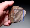 RARE HOMO ERGASTER (ERECTUS) PREHISTORIC ACHEULEAN END SCRAPER FLAKE TOOL FROM LOWER PALEOLITHIC  STONE AGE AFRICA  *ACH497