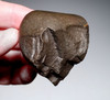MUSEUM-CLASS HOMO ERGASTER MODE 1 OLDOWAN PEBBLE CHOPPER AXE WITH INTACT POINTED TIP FROM PREHISTORIC AFRICA - OLDEST HUMAN TOOL  *PB228