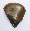 MUSEUM-CLASS TENERE DESERT AFRICA HOMO ERGASTER MODE 1 OLDOWAN PEBBLE CHOPPER AXE WITH INTACT POINTED TIP - OLDEST HUMAN TOOL  *PB229