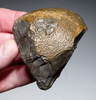 MUSEUM-CLASS TENERE DESERT AFRICA HOMO ERGASTER MODE 1 OLDOWAN PEBBLE CHOPPER AXE WITH INTACT POINTED TIP - OLDEST HUMAN TOOL  *PB229