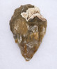 SUPREME POINTED HOMO ERECTUS PREHISTORIC ACHEULEAN FLINT BIFACE HAND AXE FROM FRANCE  *ACH498